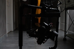 Raptus (24)